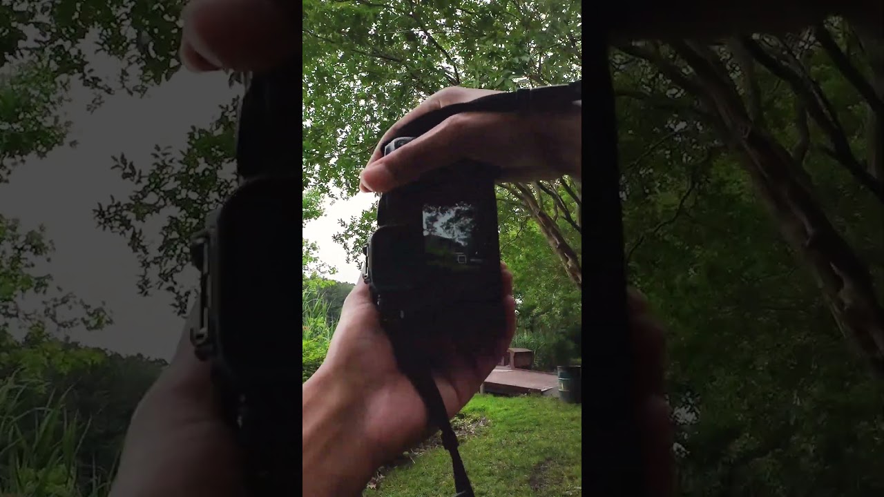 POV Nature Photography (Pier Views) 