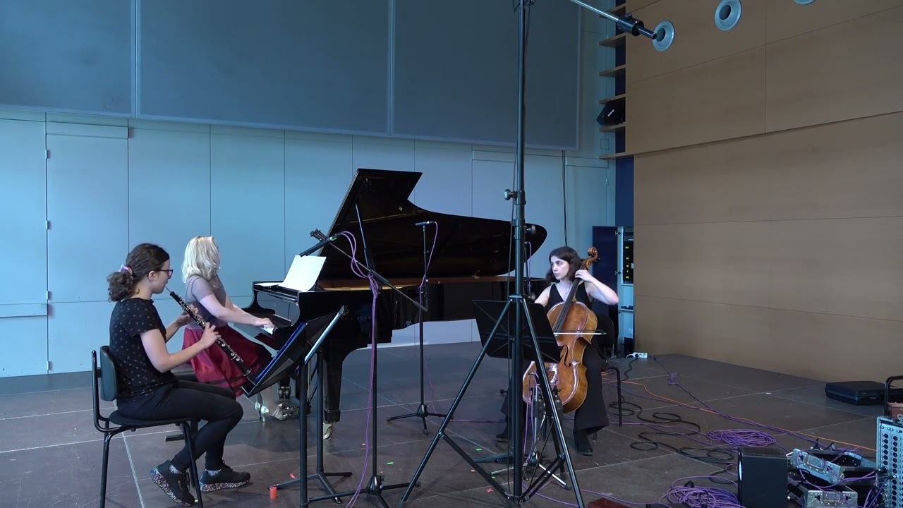 La la land - Mia and Sebastian‘s theme - instrumental Cover