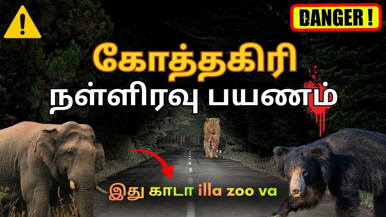 Kotagiri Midnight Forest Ride | Close Encounter With Wild Animals