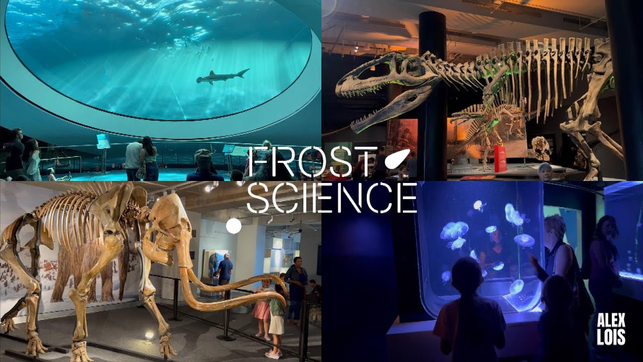 Phillip and Patricia FROST MUSEUM of Science MIAMI Full Tour