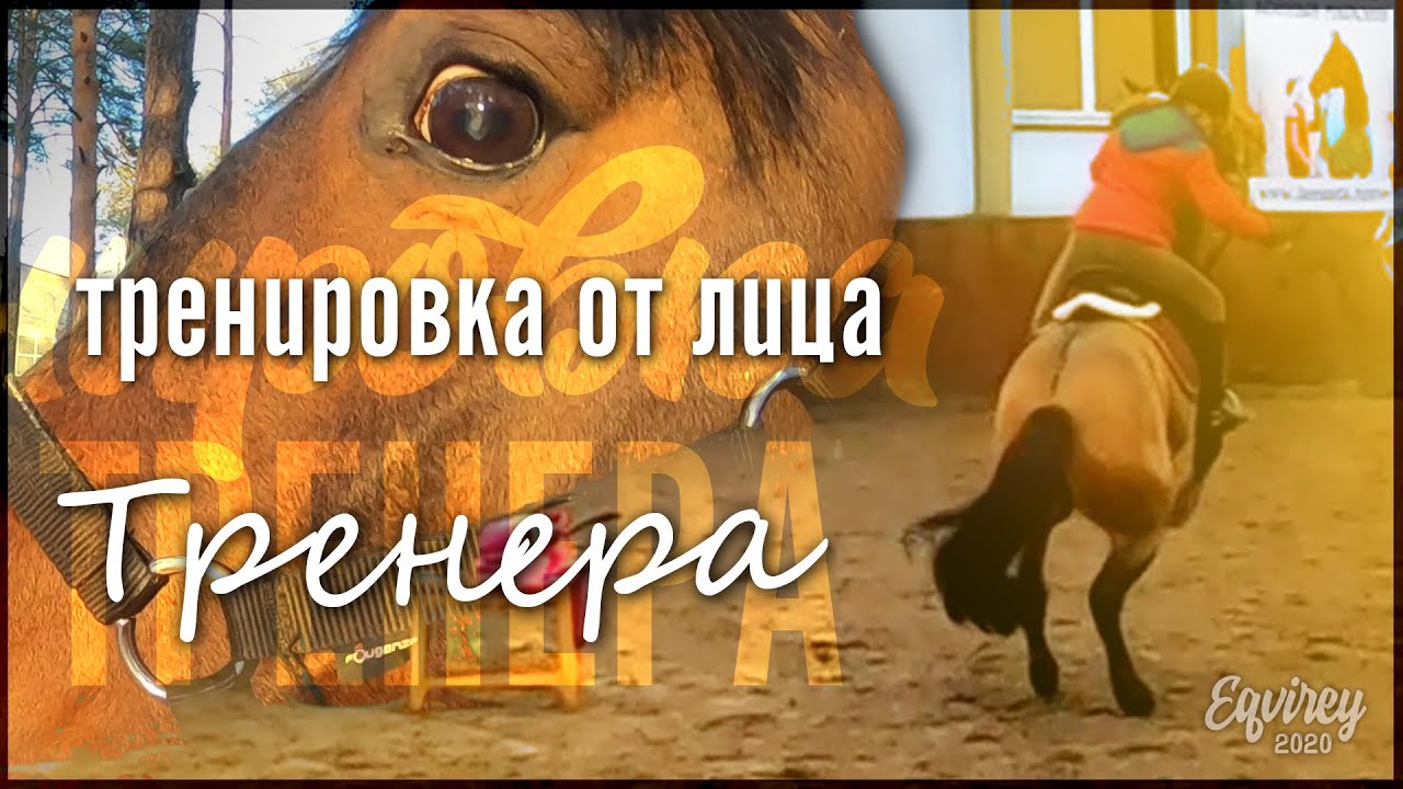 тренировка от лица ТРЕНЕРА | КОНКУР | GoPro