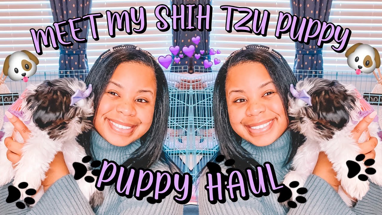 MEET MY SHIH TZU PUPPY + PUPPY HAUL 💜✨🐶🐾