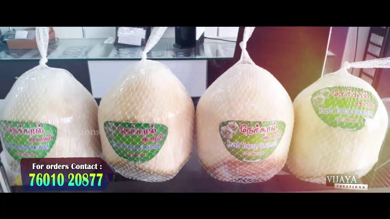 Natural Trimmed Young Coconut