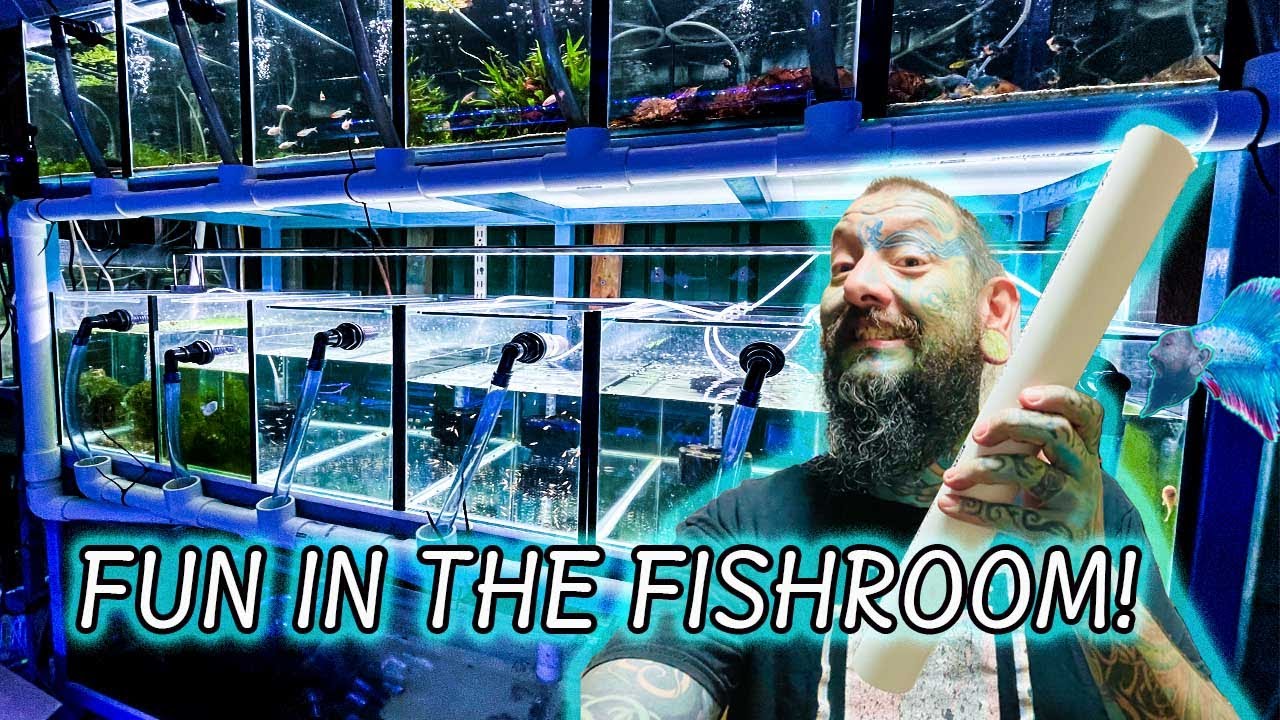 ОБНОВЛЕНИЕ FISH ROOM ~ Подключение нескольких аквариумов к сампу! #fishroom