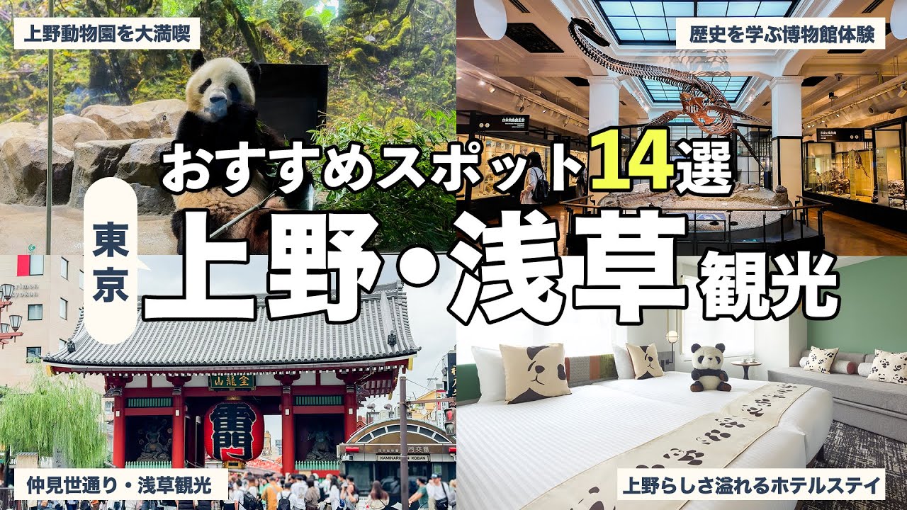 【東京観光】上野・浅草周辺おすすめスポット14選｜上野動物園・アメ横・浅草周辺を完全ガイド✨パンダルームが楽しめるホテルもご紹介！