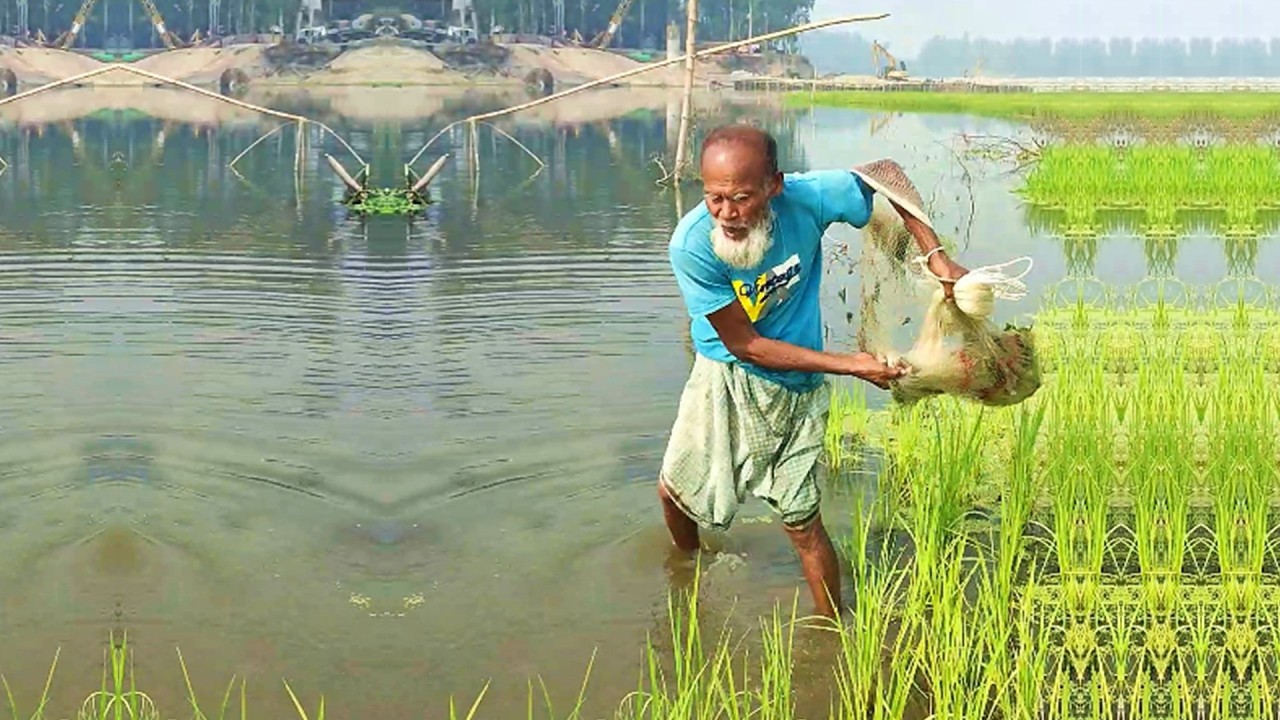 Amazing Fishing Video - Traditional Fishing Method - Best Village Fishing Video
