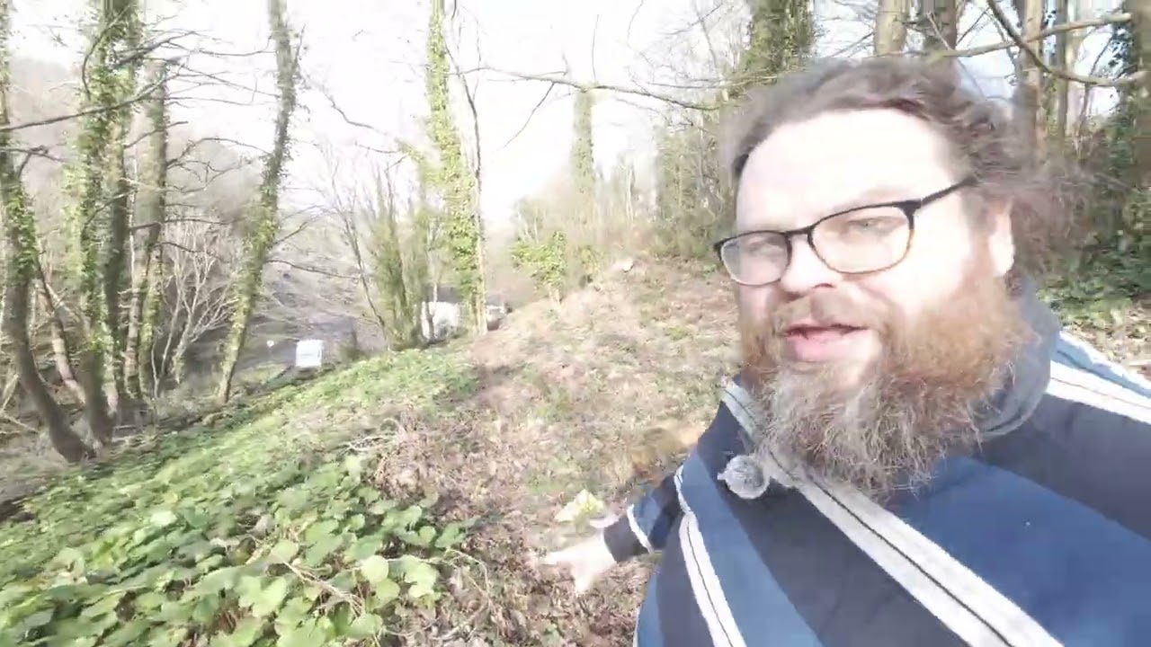 STARTING FROM SCRATCH! Starting a sustainable garden in 2026