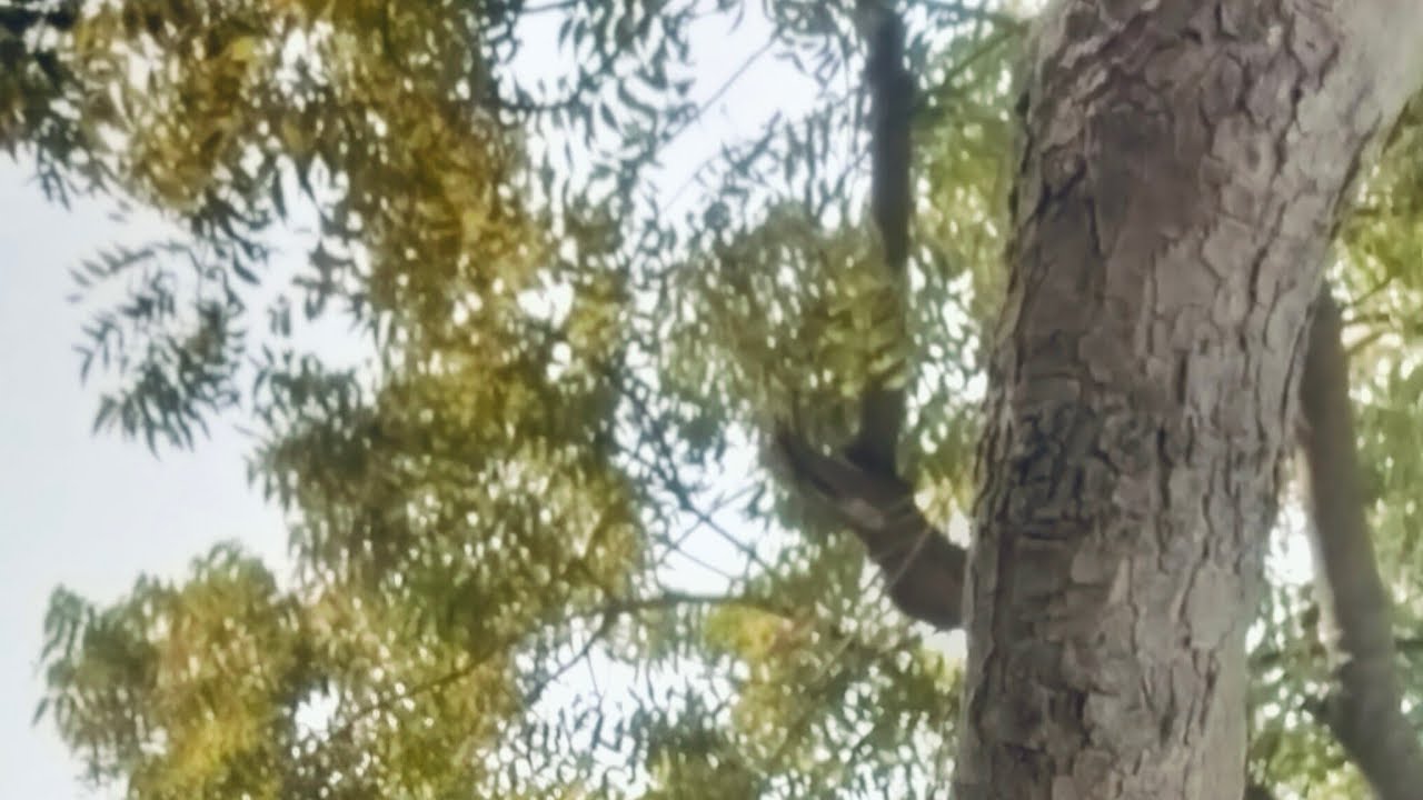 কেমন আছেন সবাই? স্বাগত সবাই কে