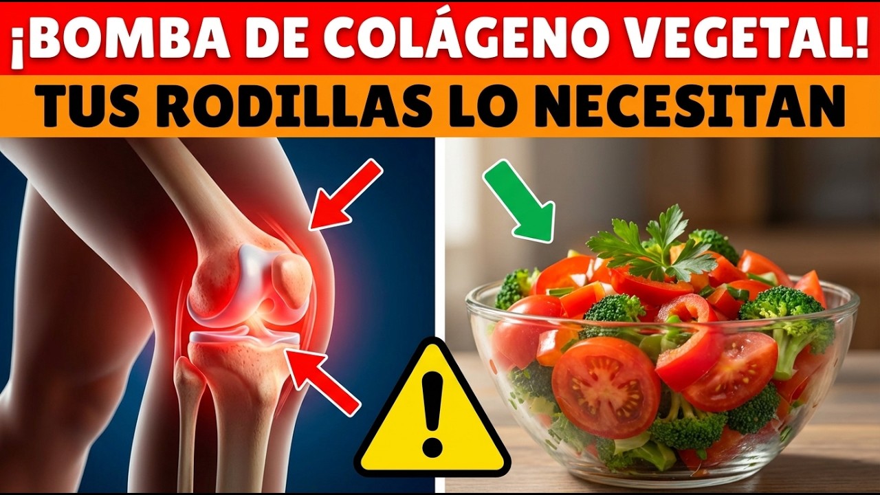 El Fin de la Rigidez: 8 Fuentes de Colágeno para Piernas Fuertes y Sin Dolor