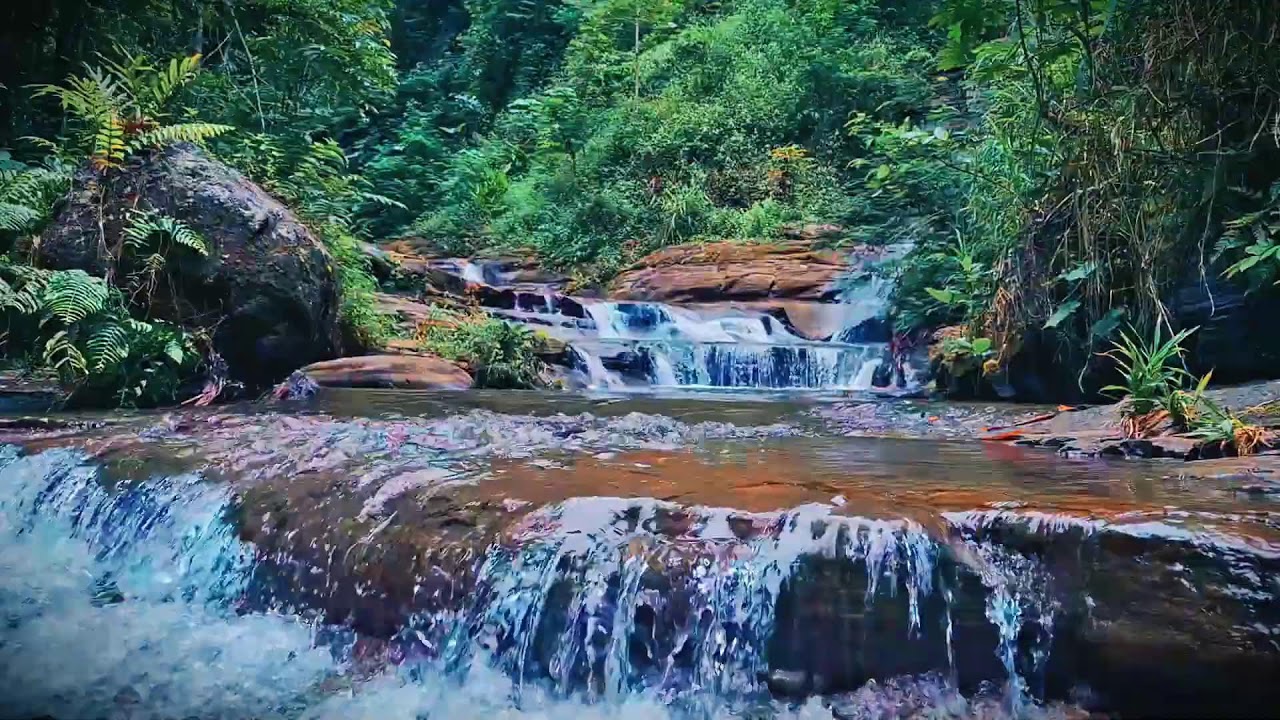 Mountain River Waterfall Flowing | Water Sounds, Nature White Noise, River Sounds for Sleeping