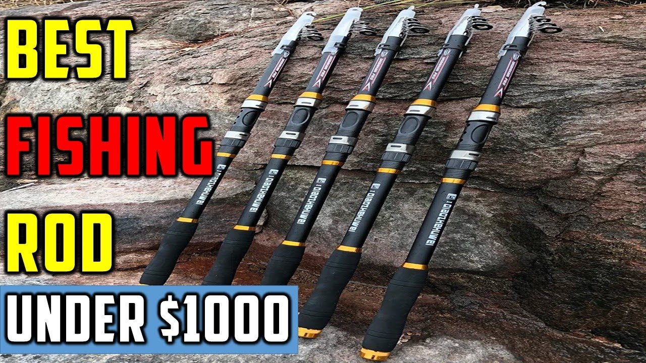 ✅Best Fishing Rod Under $1000 | Top 5 Best Fishing Rod Under $1000