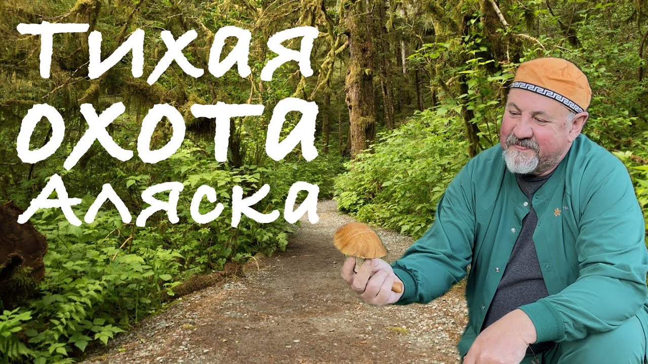 Тихая охота Аляска