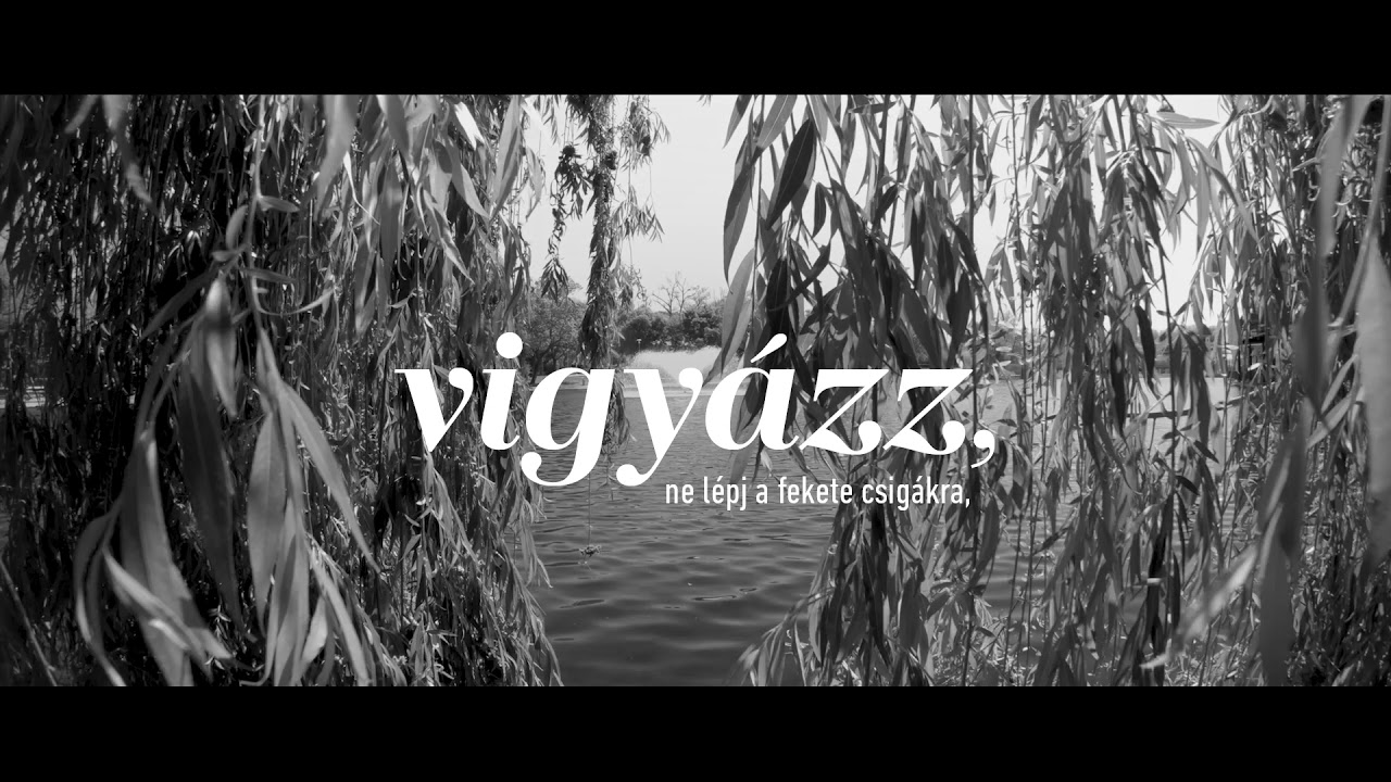 MAGASHEGYI UNDERGROUND feat. BECK ZOLI - Besz&eacute;lek [Sz&ouml;vegvide&oacute;]