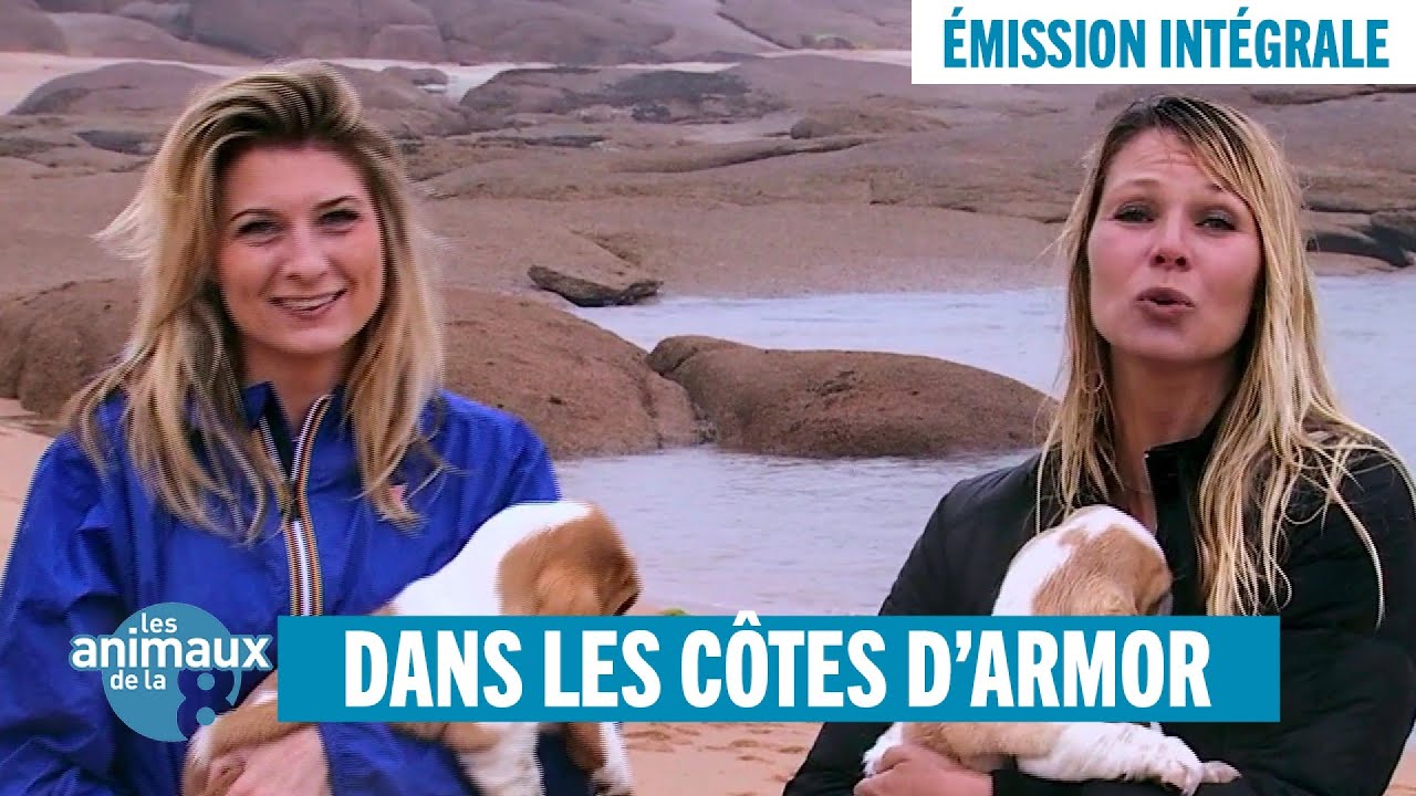 Escapade animalière dans les Côtes d'Armor - Émission intégrale