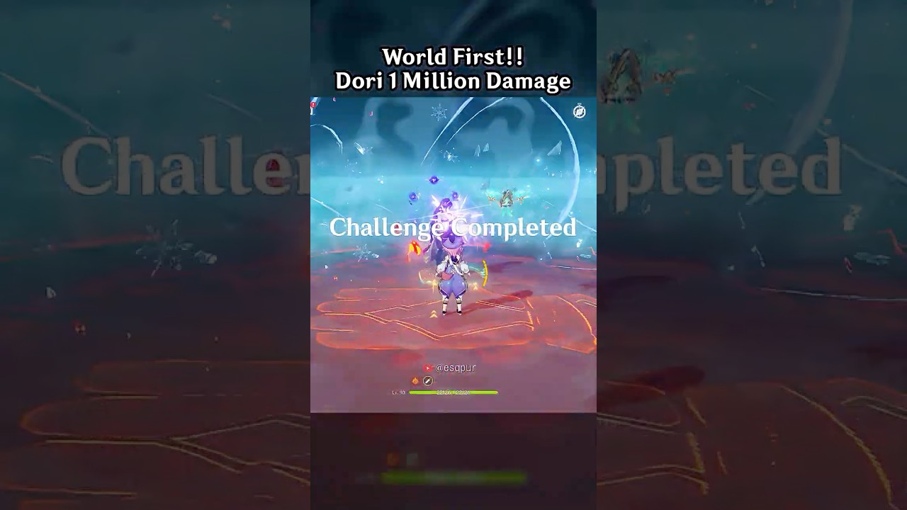 World First!! Dori 1 Million Damage