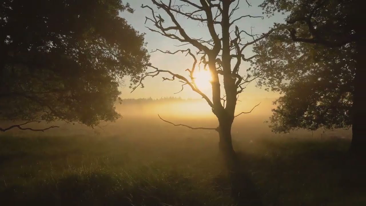 Marino Facchini - Prima di andare a casa