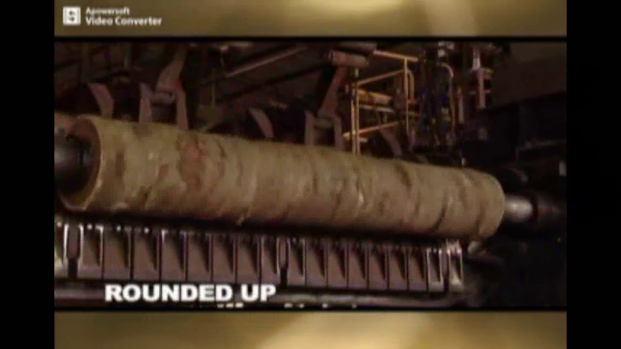 MPMA's Palm Wood Video