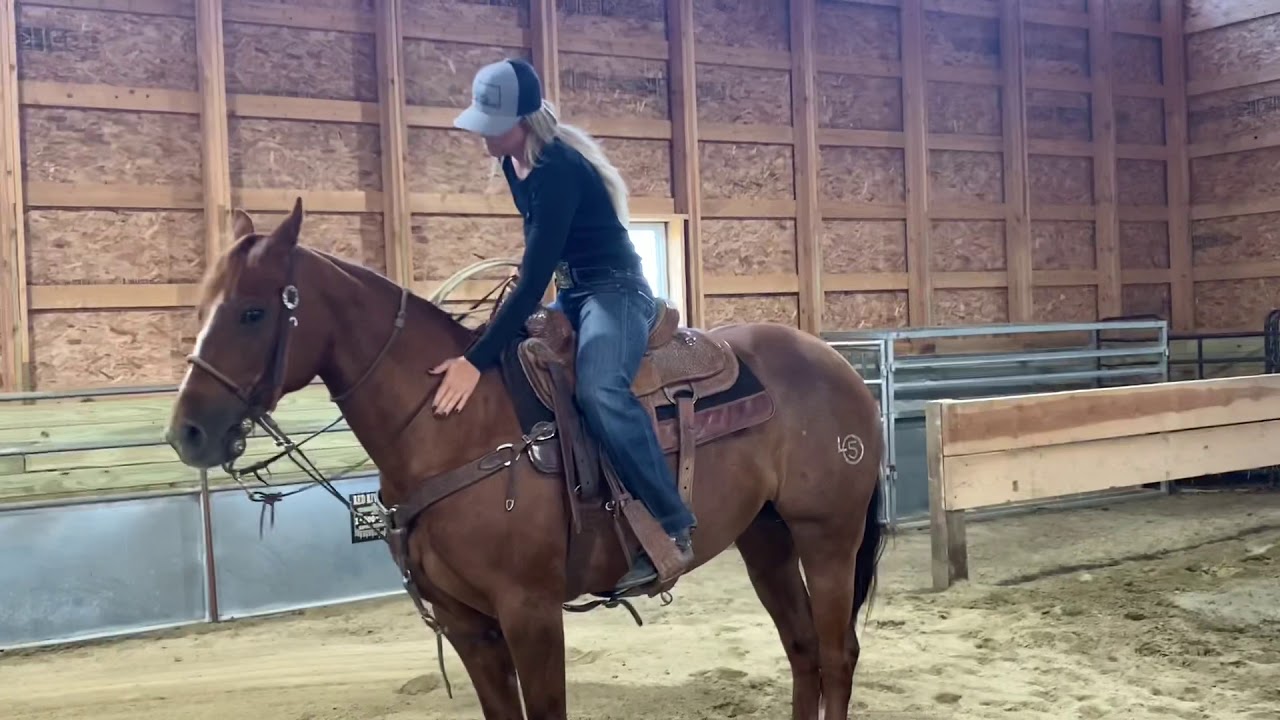The Breakaway Roping Report - Scoring & Box Work on a Tight or Anxious Horse