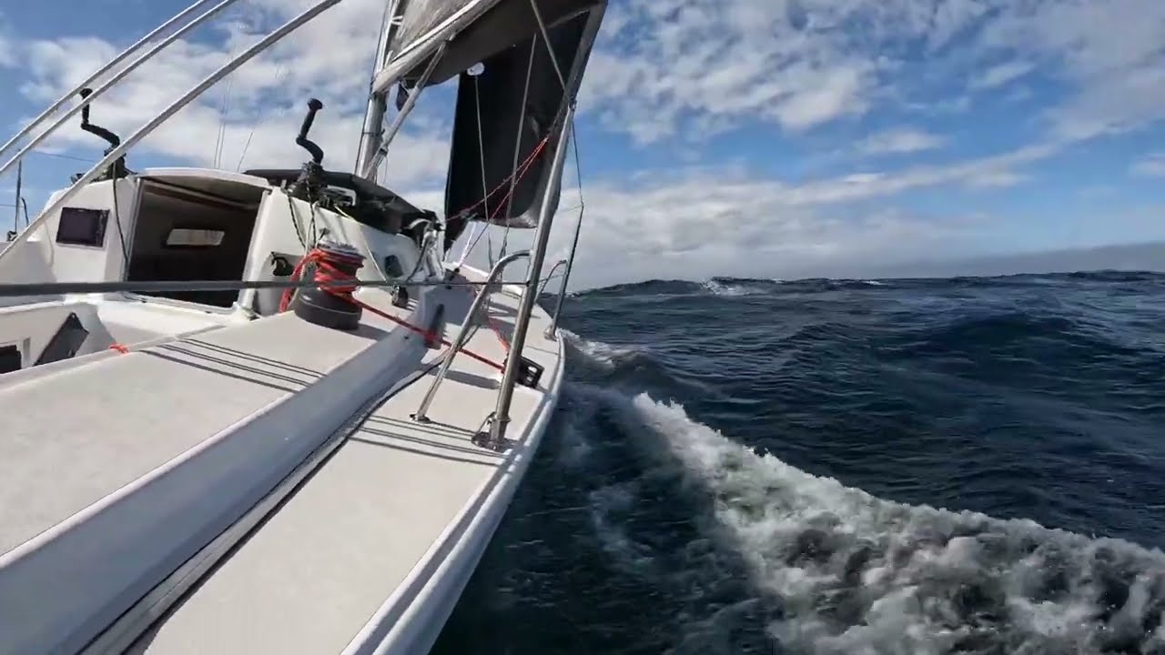 2023 Andaxi J105 sailing season