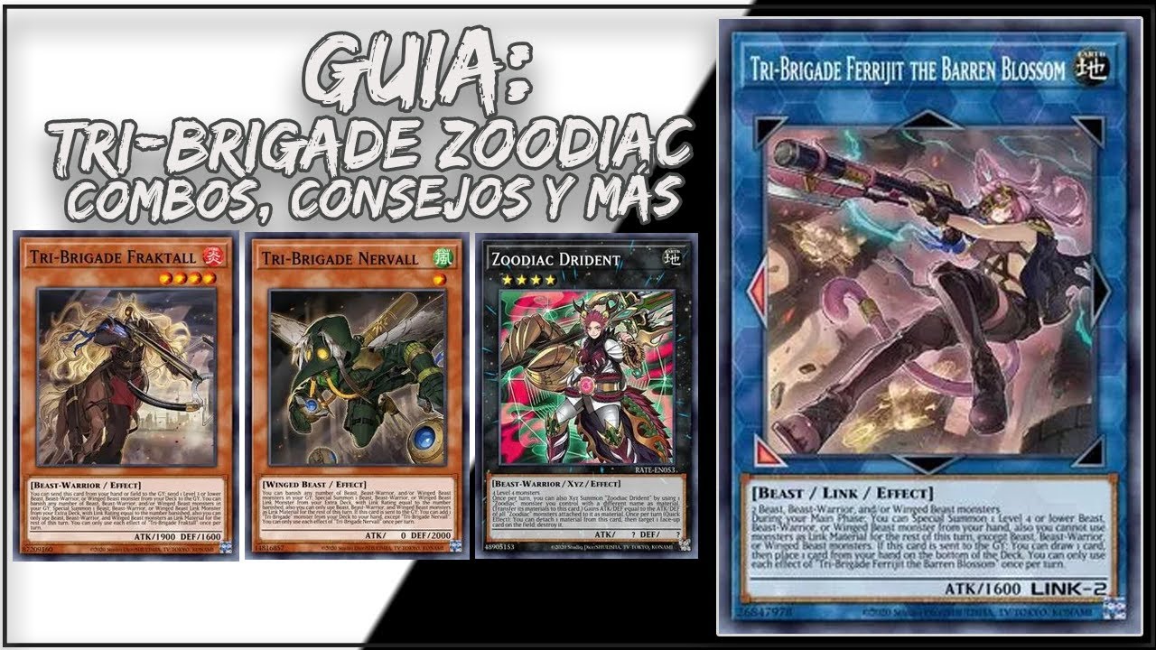 GUIA DE TRI-BRIGADA ZOODIACO : COMBOS, CONSEJOS Y M&Aacute;S