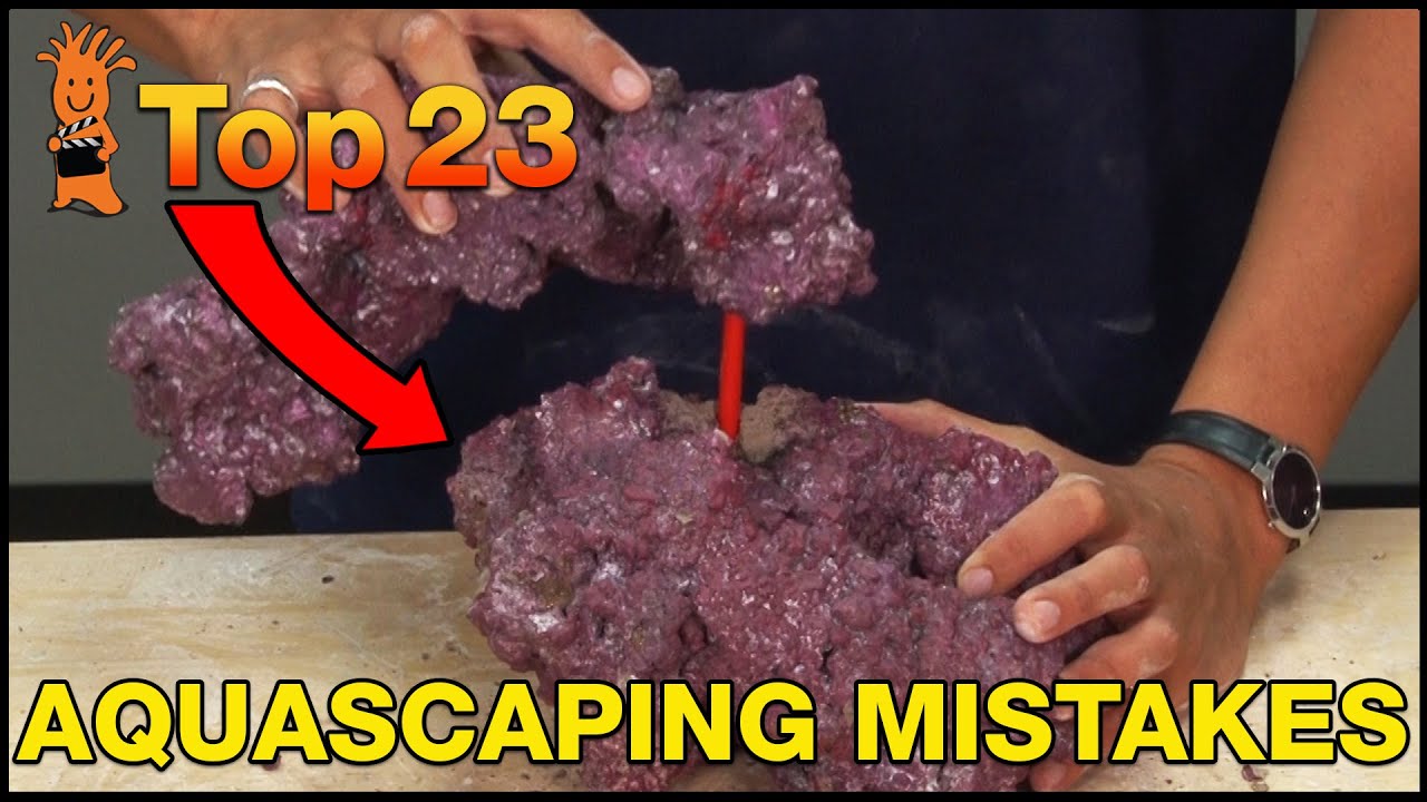 Aquascaping Regret Is Real! Don’t Do What We Did...Avoid These Top Aquascaping Mistakes.