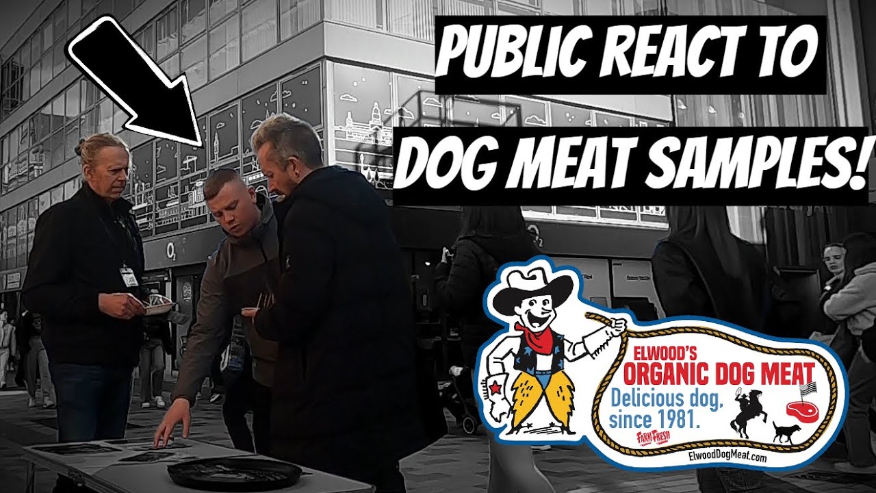 PUBLIC REACT TO ELWOOD'S ORGANIC DOG MEAT SAMPLES - Guy Gets Really Mad!!!