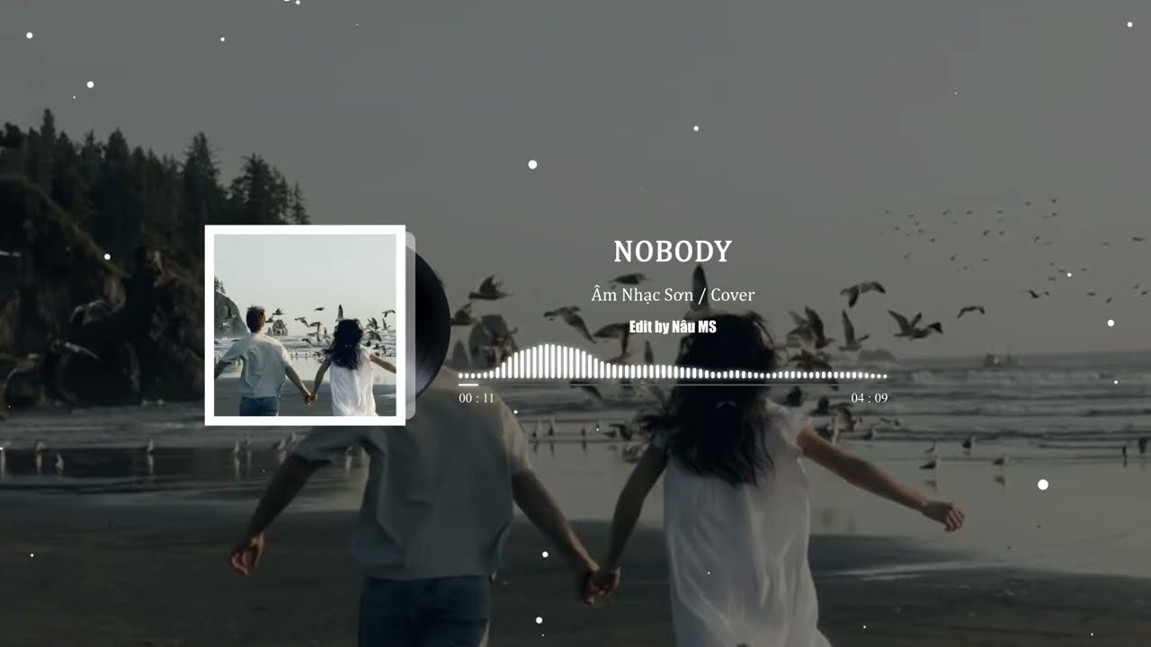 [Pinyin+Vietsub] Nobody (布鲁斯) - &Acirc;m Nhạc Sơn / cover (Bản douyin)