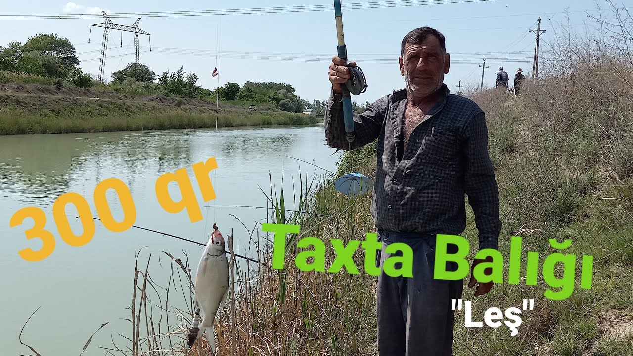 18.05.2022 Şirvan kanal balıq ovu