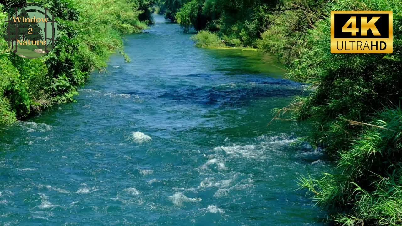 4K Beautiful Relaxing Blue River | UHD Nature Sounds Video | Wind On Leaves & Water Stream - Relax