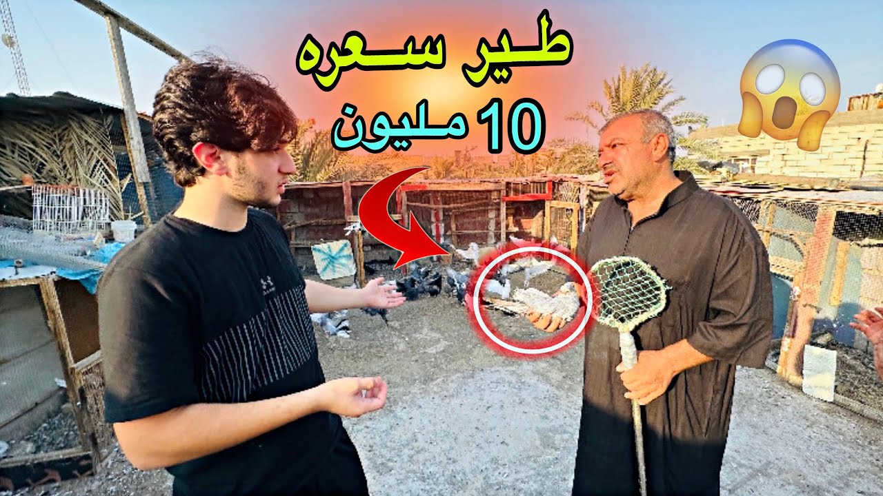 طير سعره 10 مليون😳🔥