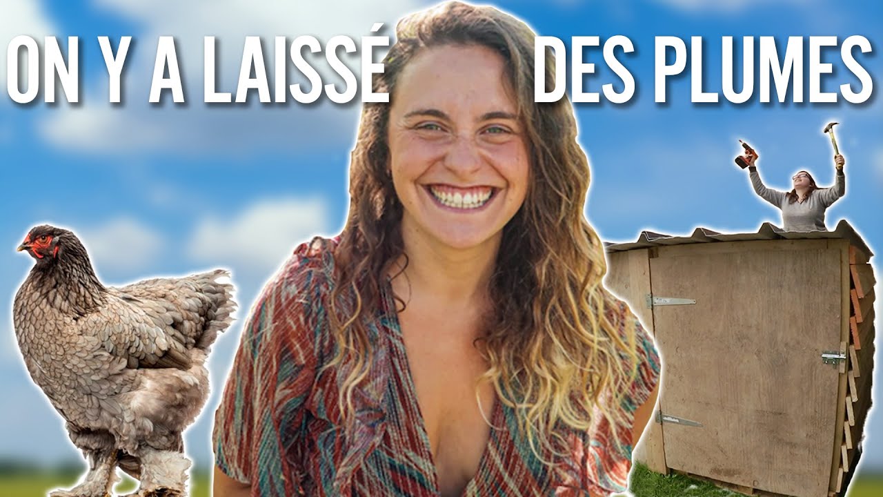 COMMENT CONSTRUIRE UN POULAILLER