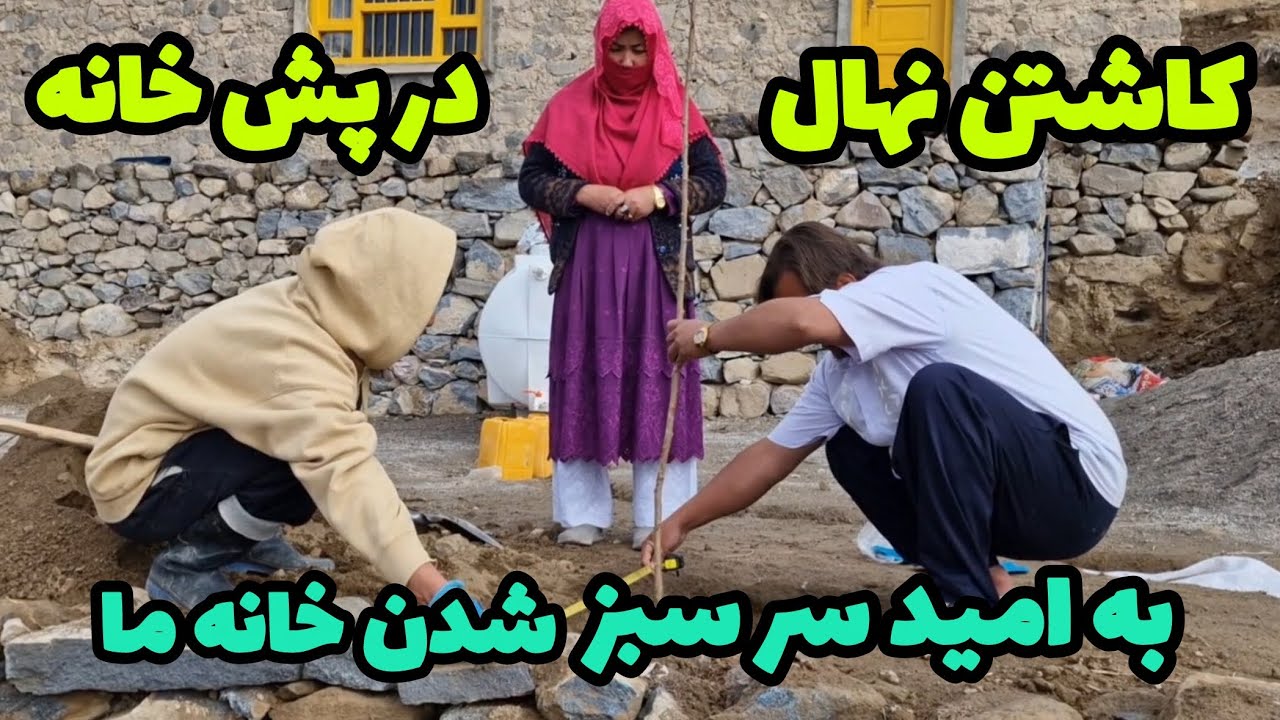 کاشتن نهال در پش خانه  🏠 