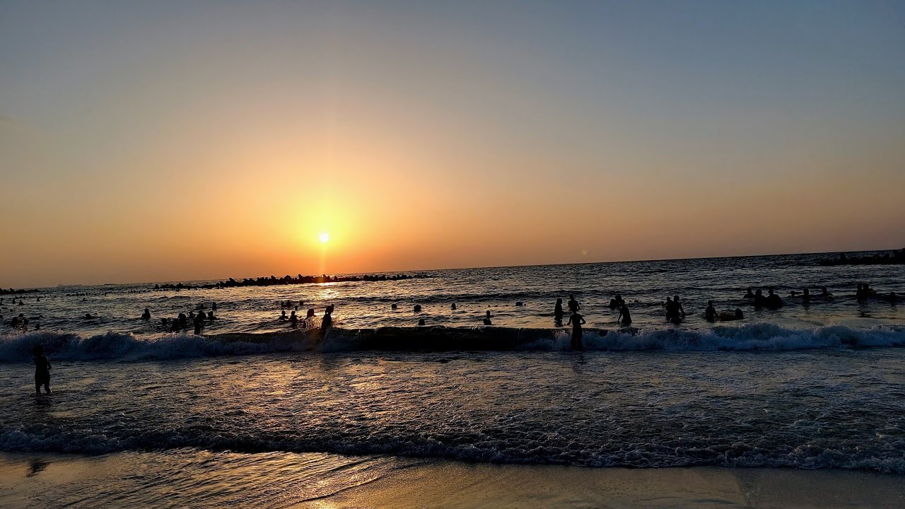 تجديد شاطئ النخيل بشكل جذري من الالف للياء 2023🏝️