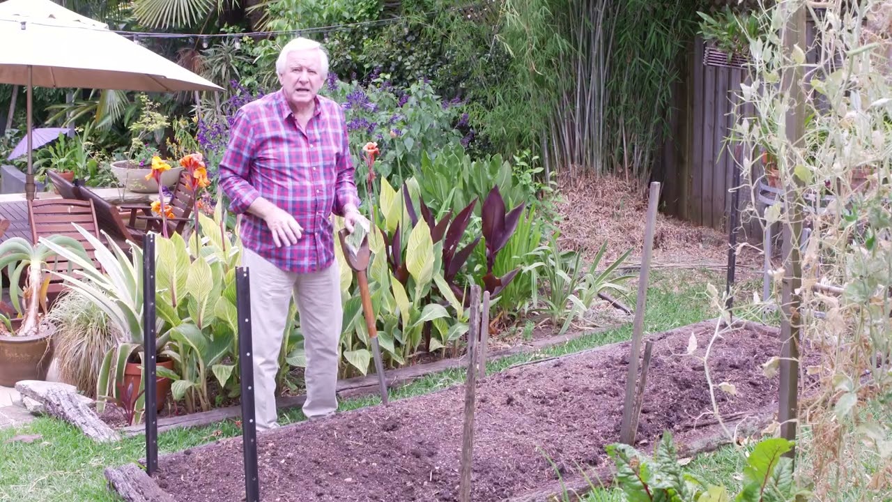 Learn from Graham Ross about how to sow beans