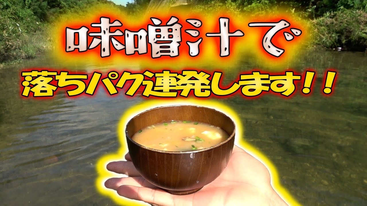 味噌汁で釣りは成立するのか検証してみた！