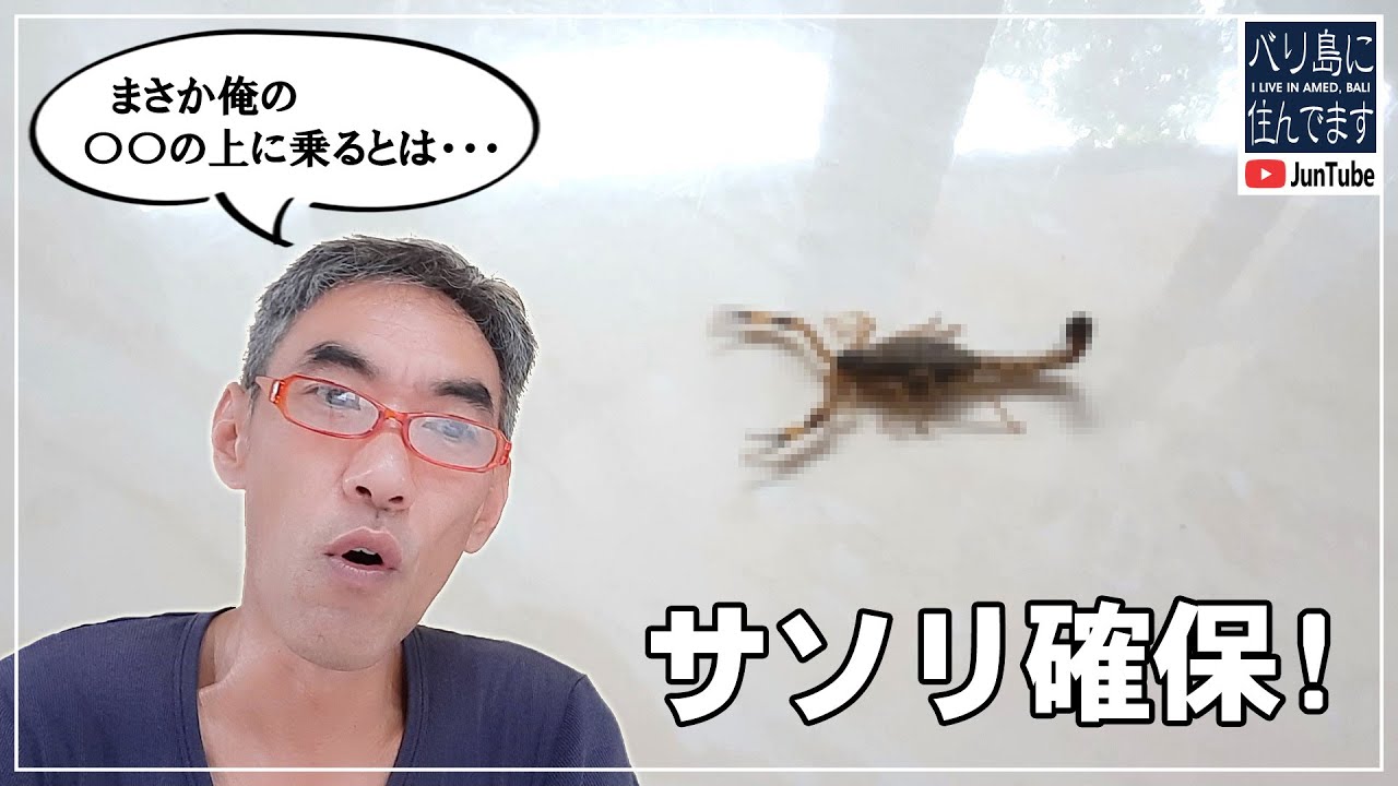 サソリ確保！普通に居ます(汗)【バリ島生活】