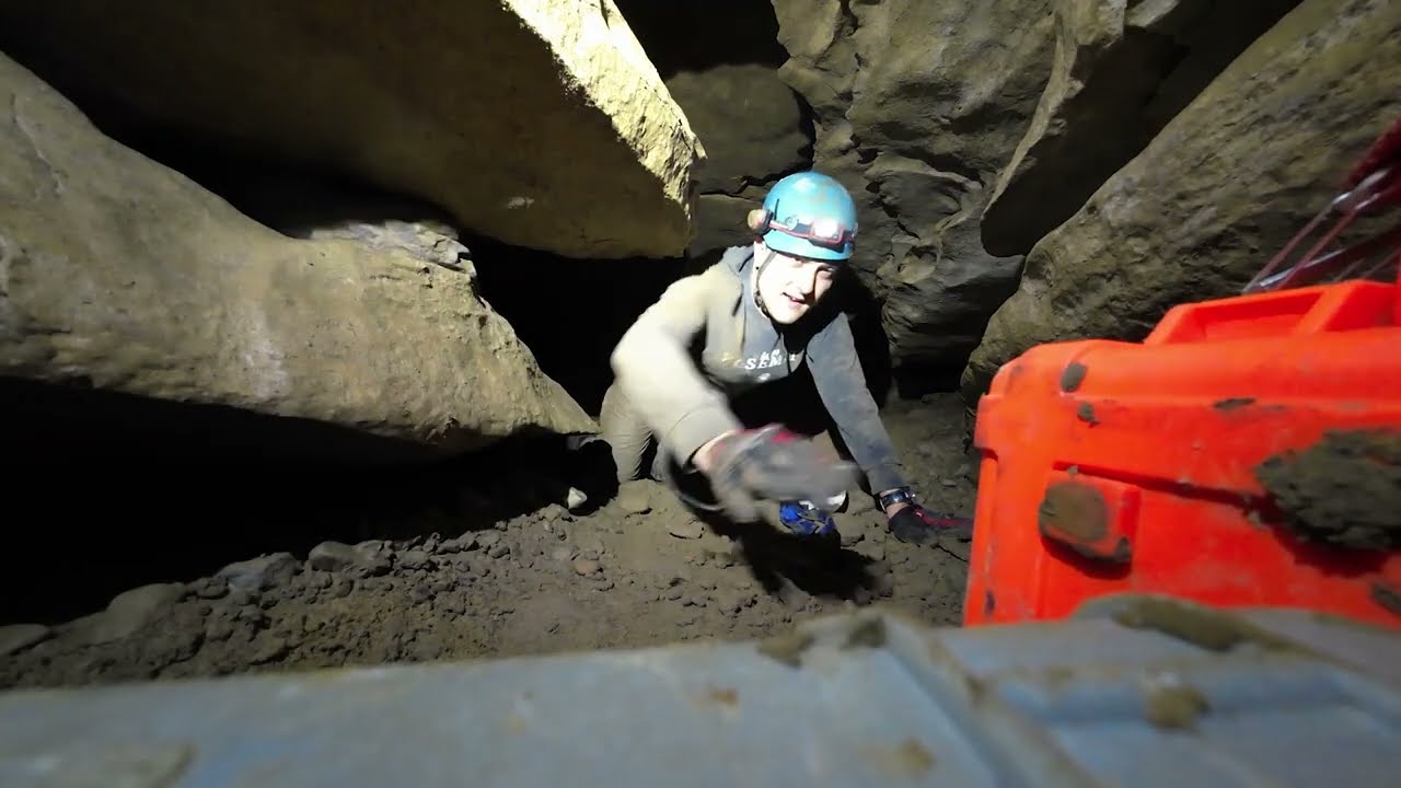 Isopods (Maybe) Arthropods (Maybe) in Big Bat Cave