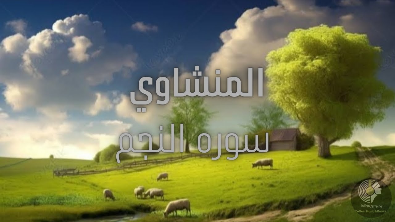 كأنه صوت من السماء ....عيش مع المنشاوي في ١٣ دقيقه 💚💫