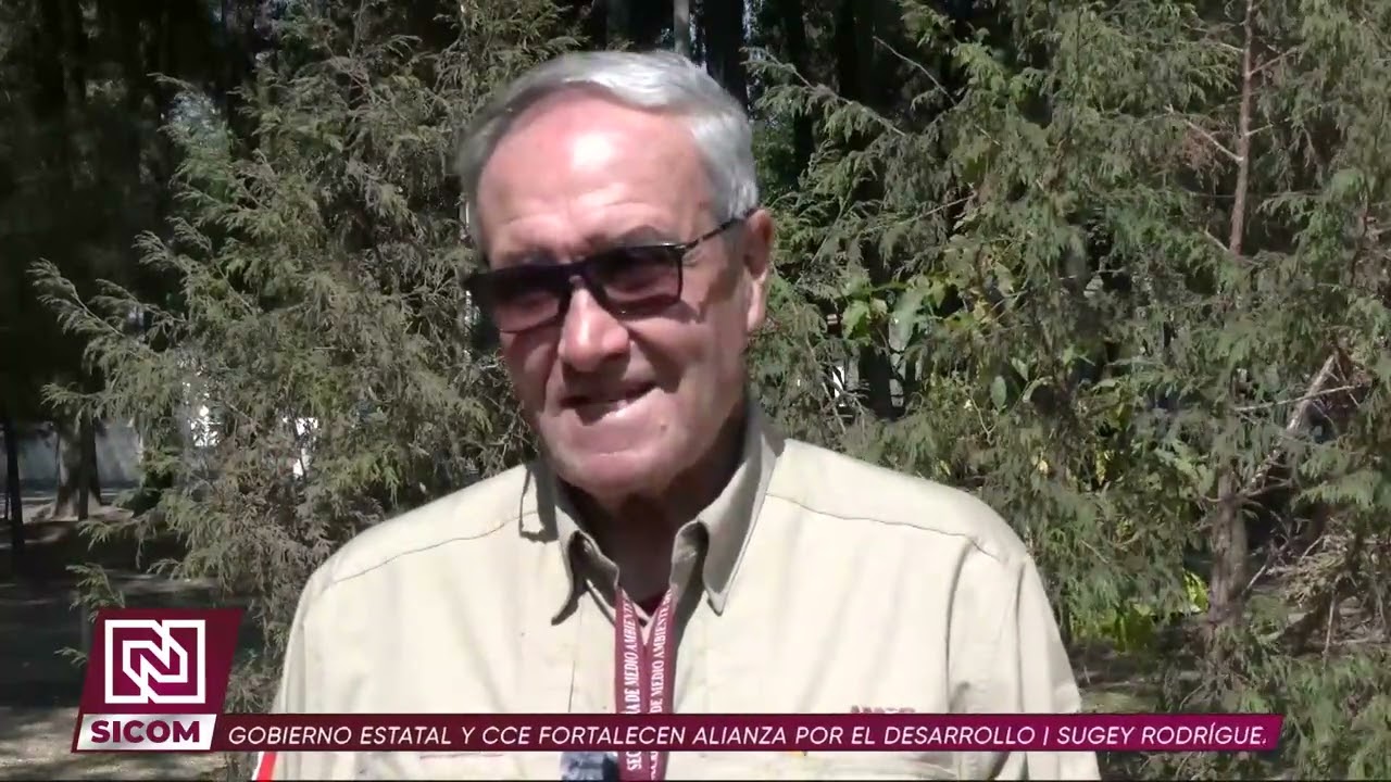 🌲🚫 Puebla refuerza el combate contra la tala ilegal