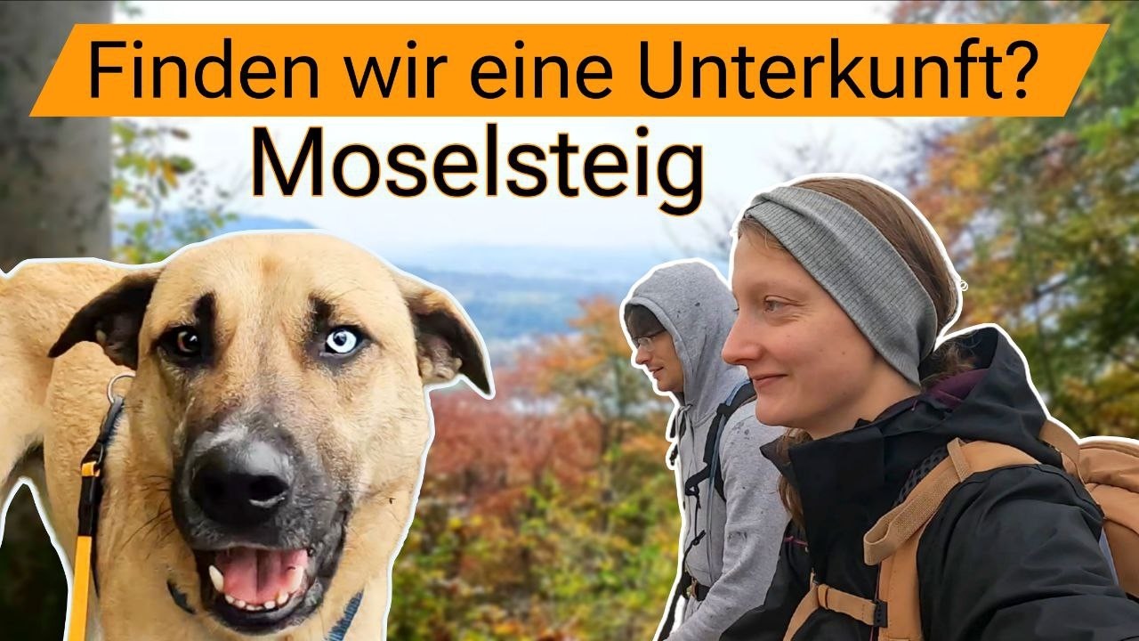 Nebel, keine Unterkunft | Weitwandern mit HundMoselsteig Etappe 3 | Nittel - Konz (22,8 km) |
