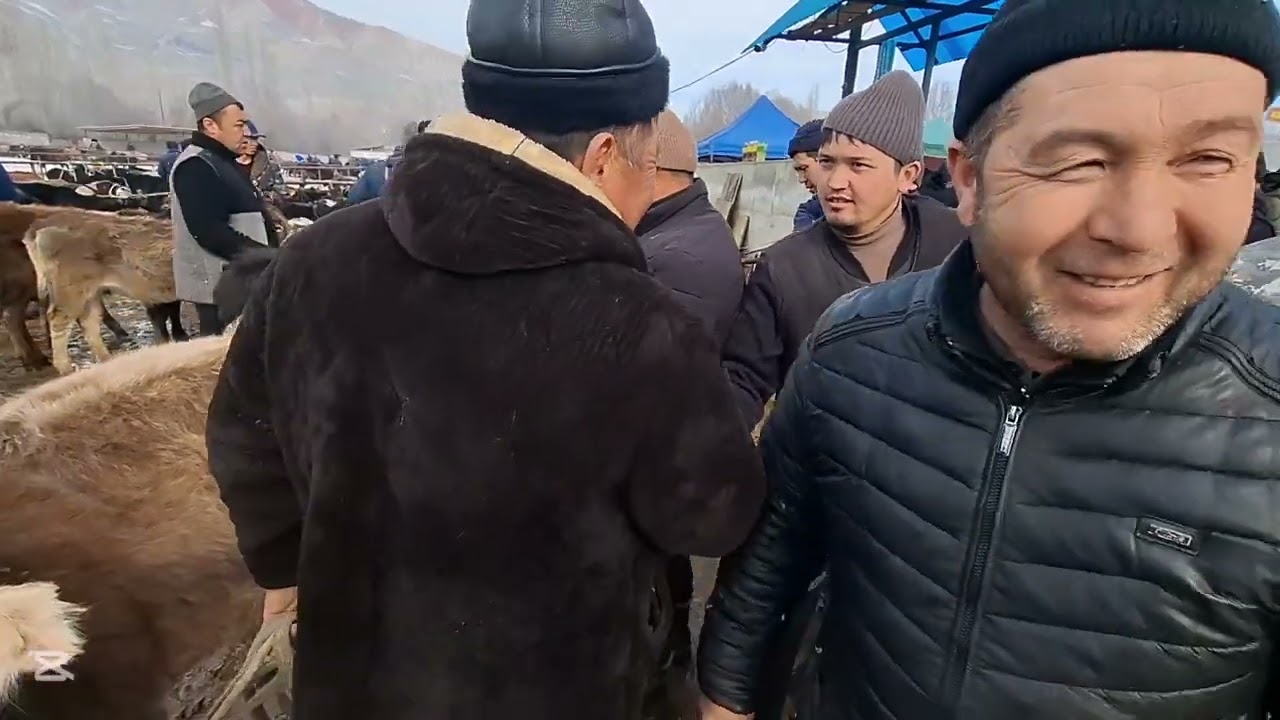 МАЛ БАЗАР. НООКАТ,АРАЛ #KYRGYZSTAN #festival 