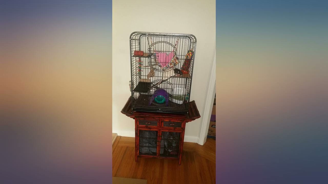 Yaheetech 37//52-inch Metal Ferret Chinchilla Cage Small Animals Hutch with 2 Front review