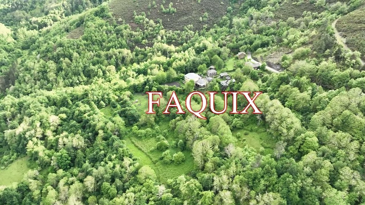 FAQUIS (NAVIA DE SUARNA) LU.