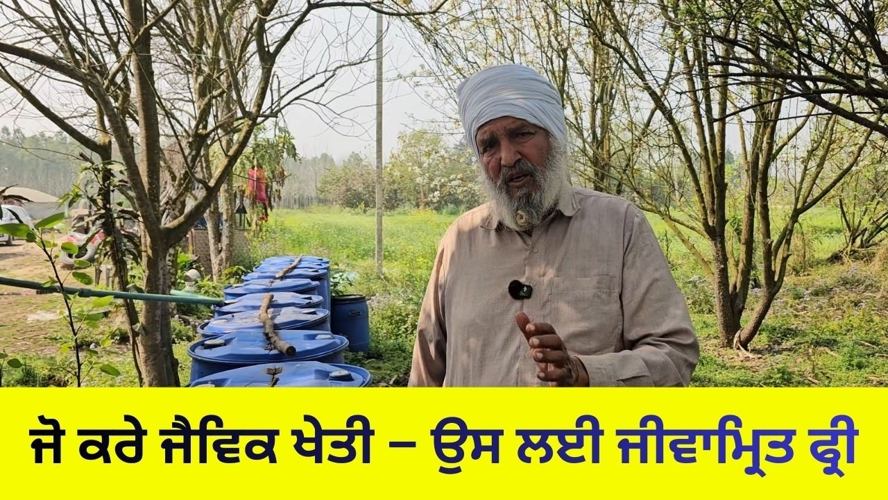 From Poverty to Principal to a Successful Organic Farmer PART-2