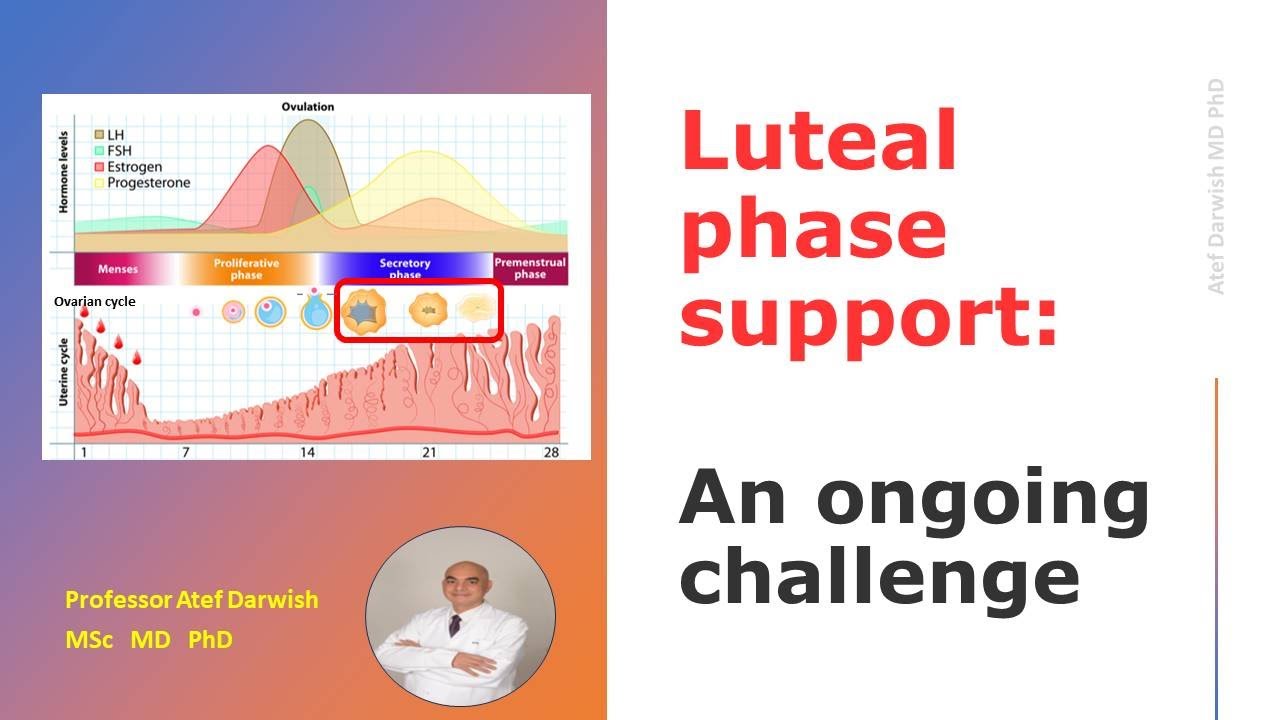 Luteal phase support:An ongoing challenge