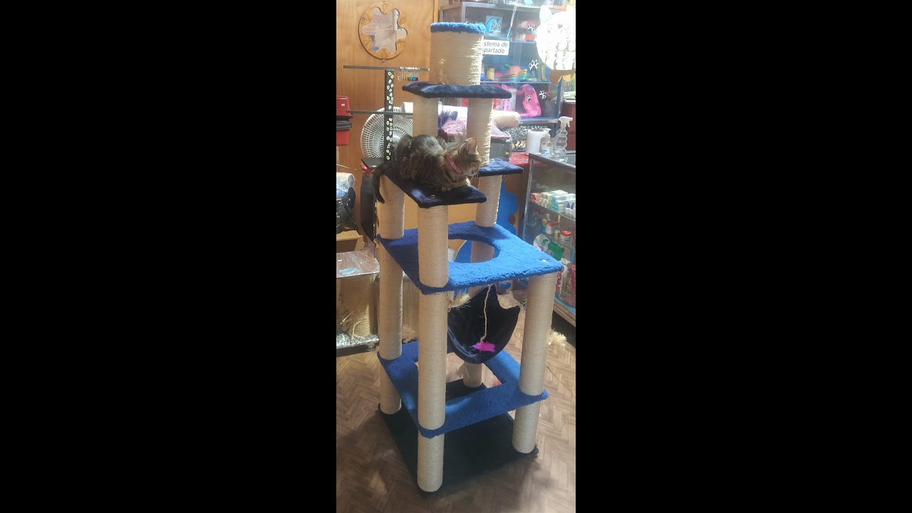 Gimnasio para Gatos ensamble modular 