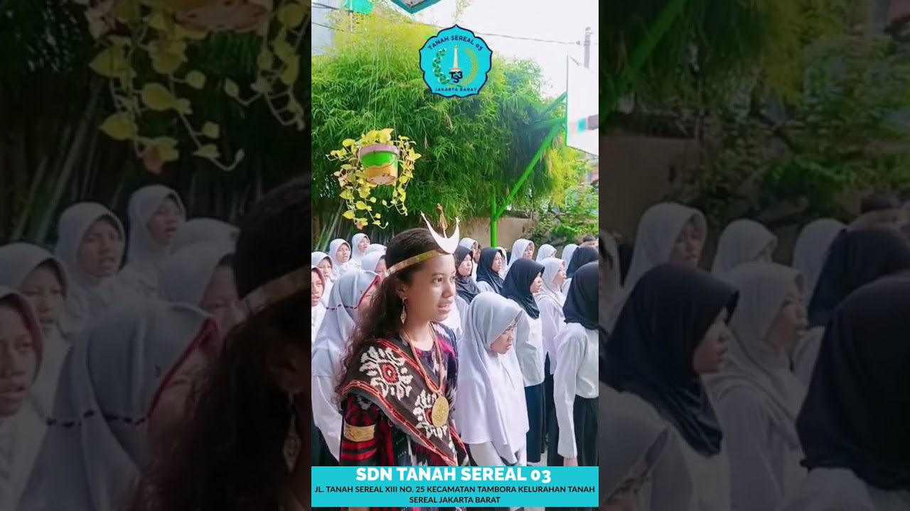 SDN TANAH SEREAL 03
