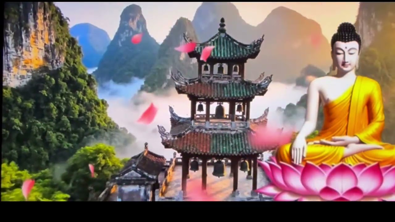 Sự Màu Nhiệm 🙏🙏Trong Câu Niệm Phật Thay Đổi Cả Con Người 