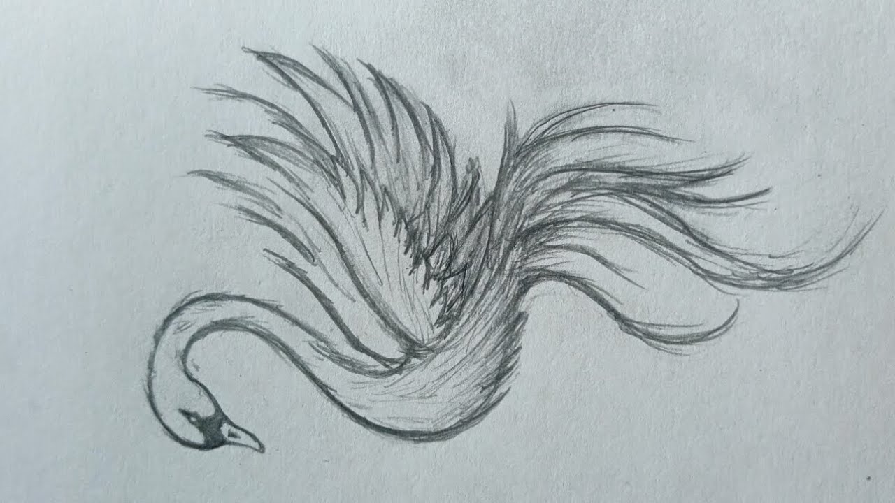 Swan drawing #drawing #youtubevideo #viral 