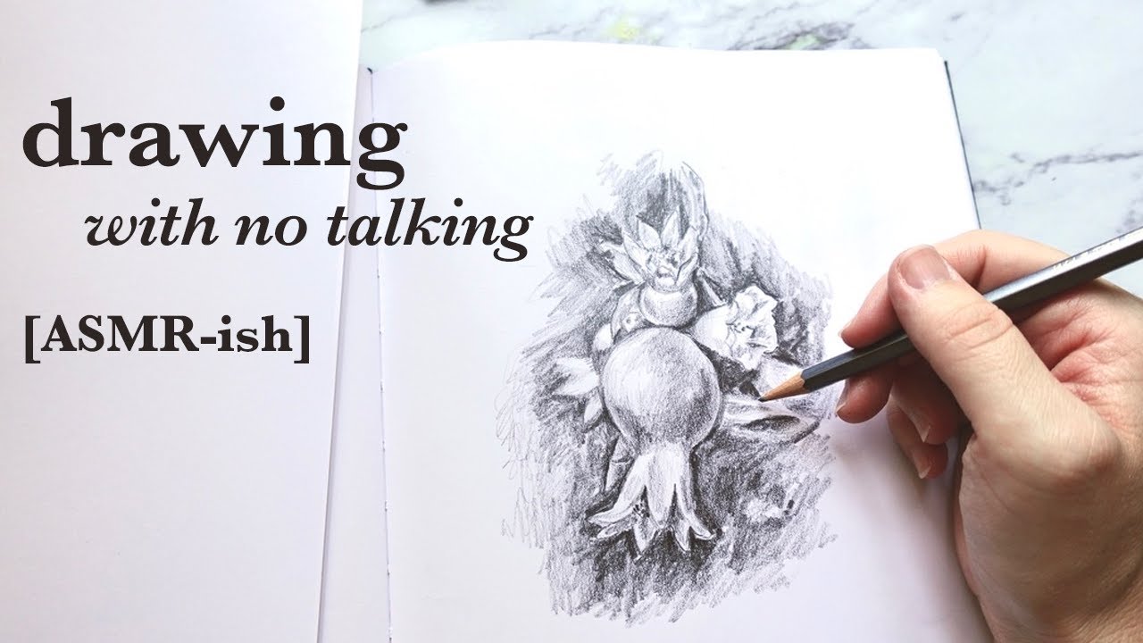 drawing pomegranate blooms & fruit [asmr-ish] extended version with no talking & no music